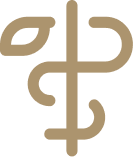 Led by Experienced Practitioners